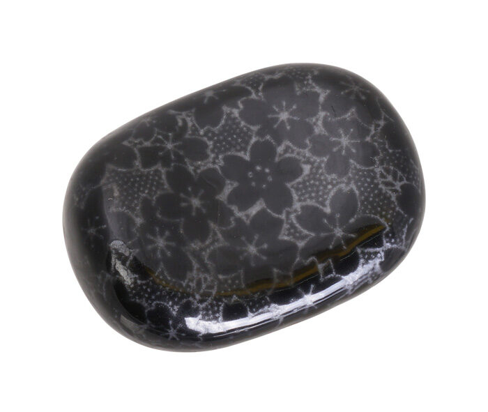 Porte-baguettes noir - Sakura - 3 x 4,5 cm
