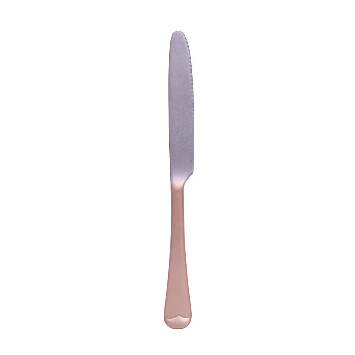 Couteau de table - Vintage - 22,2 cm