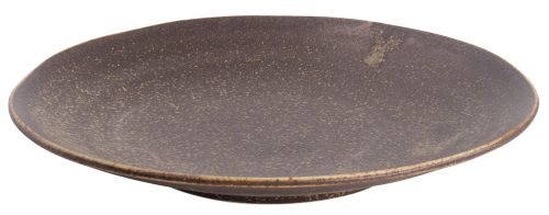 Tokyo Design Studio - Iga Matte - Dinerbord - 25x3.7cm