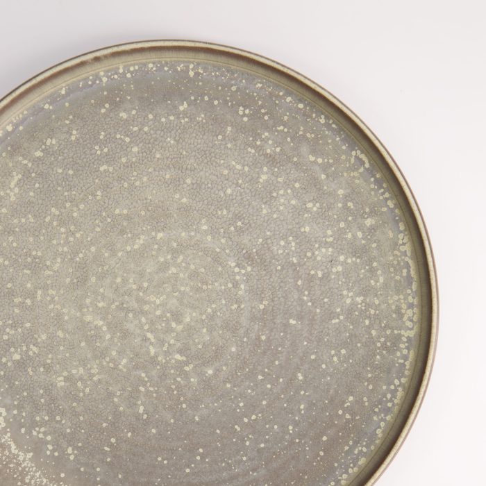 Tokyo Design Studio - Assiette Ronde avec Bord - Gris - 26,5x3cm – Image 4